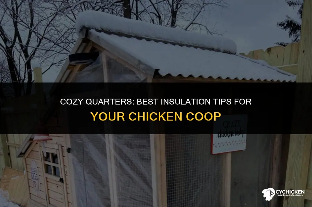 what do you insulate a chicken coop with