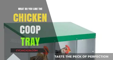 Eco-Friendly Options for Lining Your Chicken Coop Trays