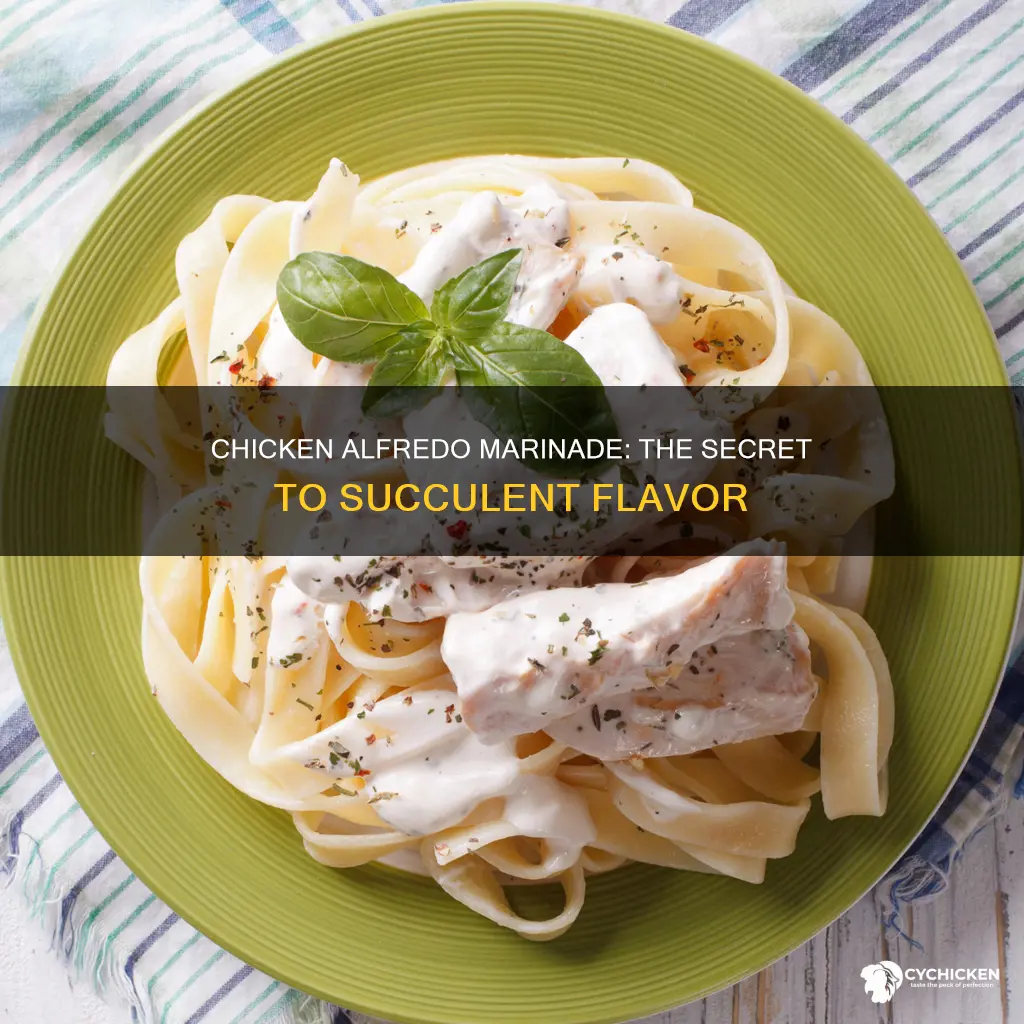 what do you marinate chicken in for chicken alfredo