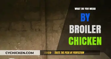 Understanding Broiler Chicken: Definition, Characteristics, and Farming Practices