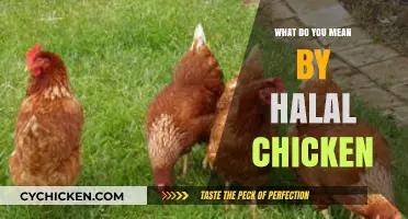 Understanding Halal Chicken: Meaning, Practices, and Importance Explained