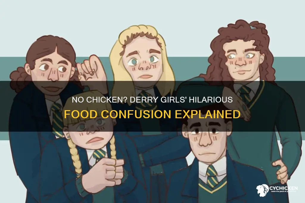 what do you mean no chicken derry girls