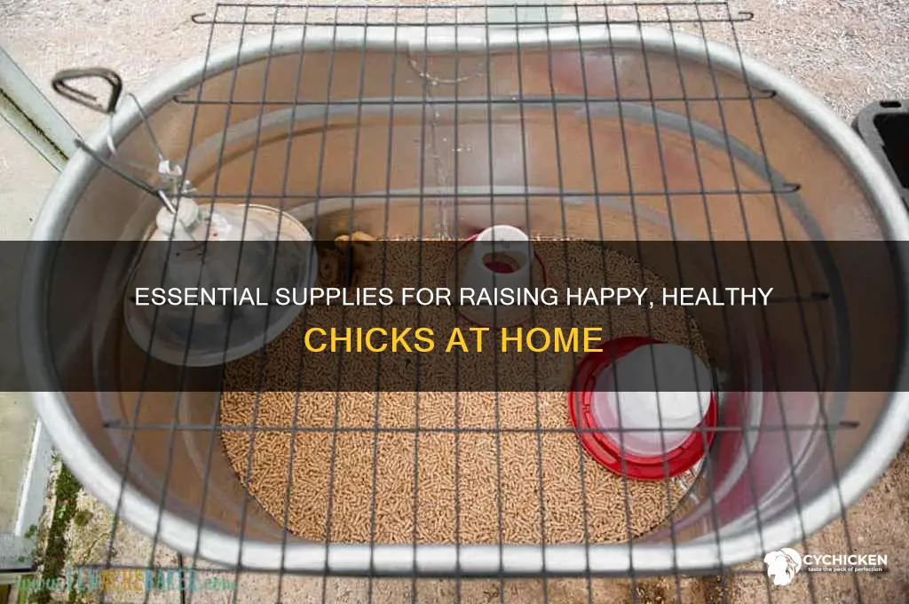 what do you need for a chick