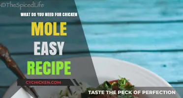 Easy Chicken Mole: Ingredients and Recipe Guide