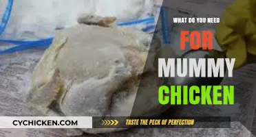 Essential Supplies for Raising Mummy Chickens: A Comprehensive Guide