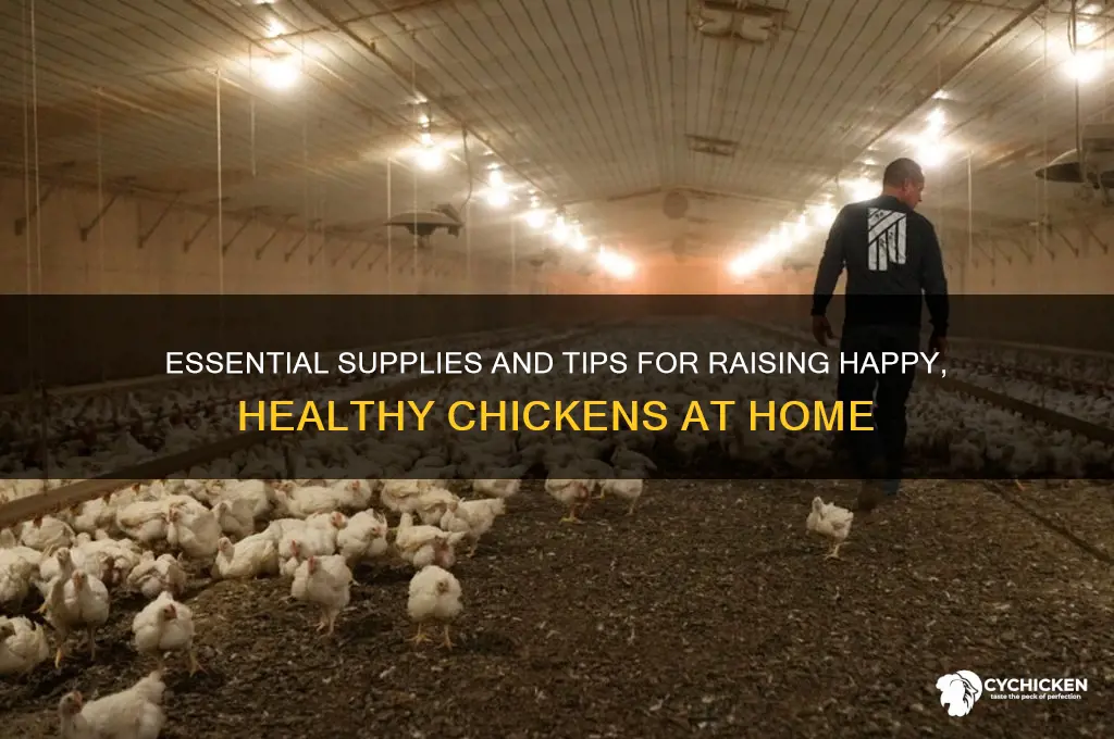 what do you need to have a chicken