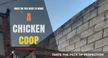 Building a Chicken Coop: Essential Requirements and Tips