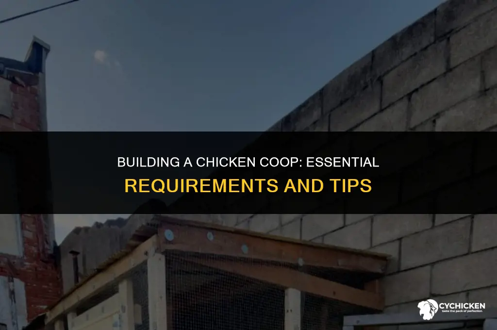 what do you need to make a chicken coop