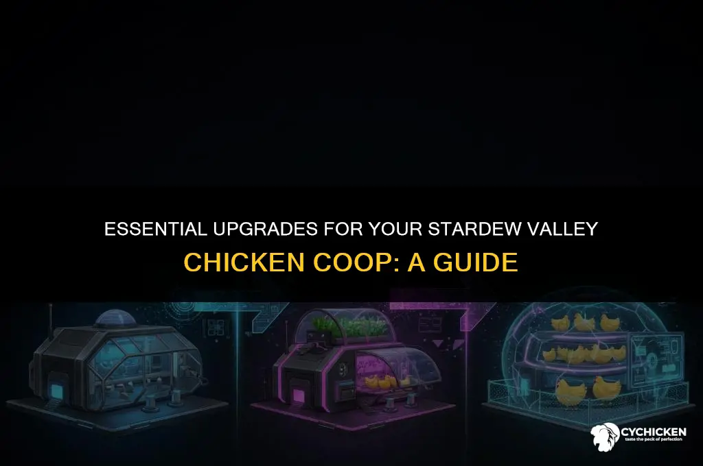 what do you need to upgrade chicken coop stardew
