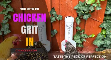 What to Put in Chicken Grit: Essential Tips for Healthy Birds