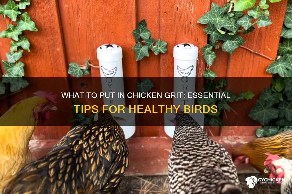 what do you put chicken grit in