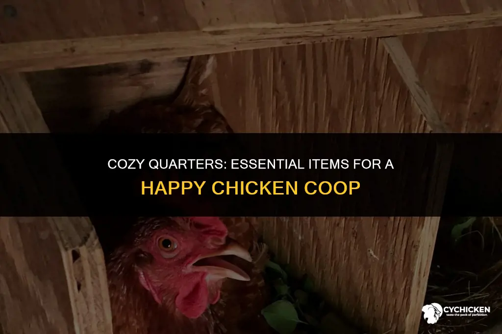 what do you put down in a chicken coop