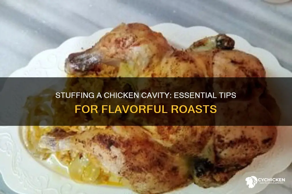 what do you put in a chicken cavity