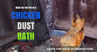 Creating a Chicken Dust Bath: The Essential Ingredients