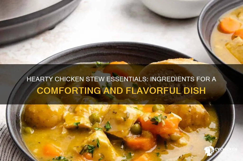 what do you put in a chicken stew