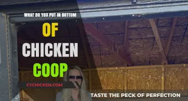 Essential Tips for Chicken Coop Bedding and Maintenance