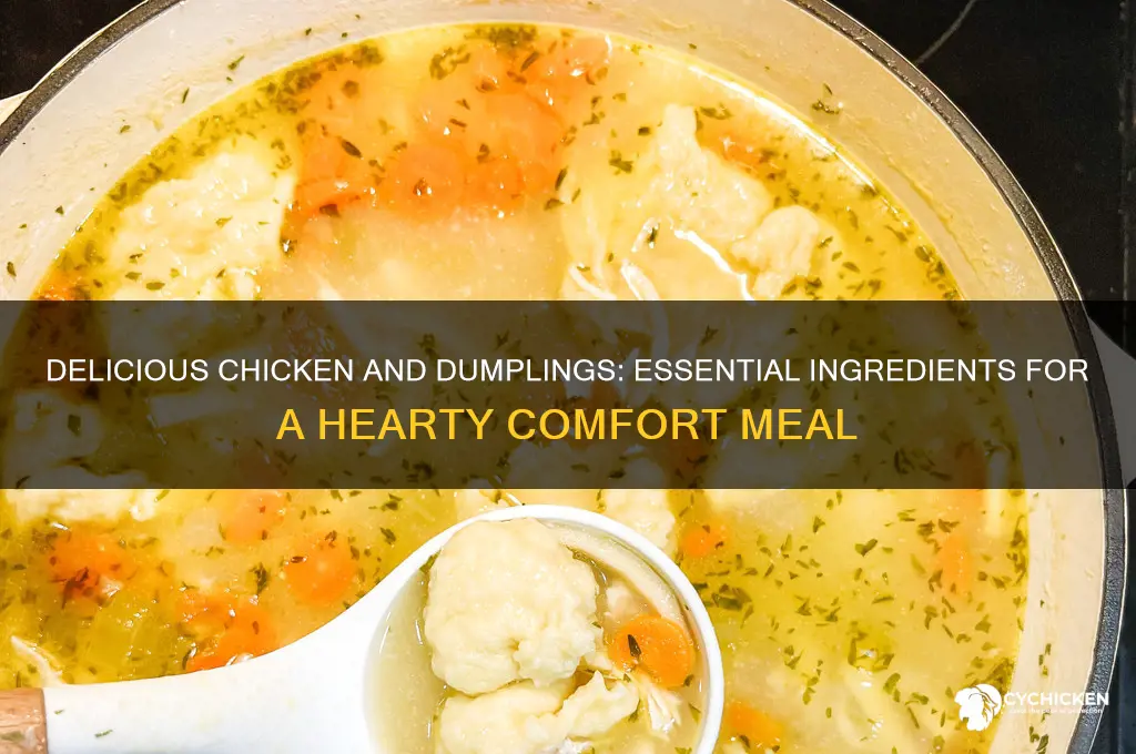 what do you put in chicken and dumplings