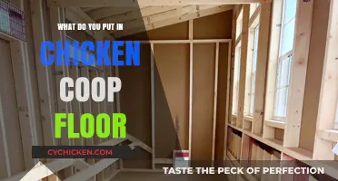 Essential Tips for Chicken Coop Flooring: Comfort and Cleanliness