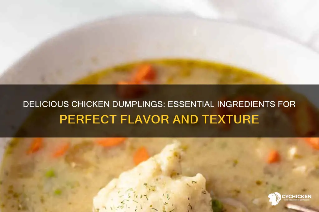 what do you put in chicken dumplings