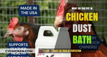 Essential Ingredients for a Healthy Chicken Dust Bath: A Guide