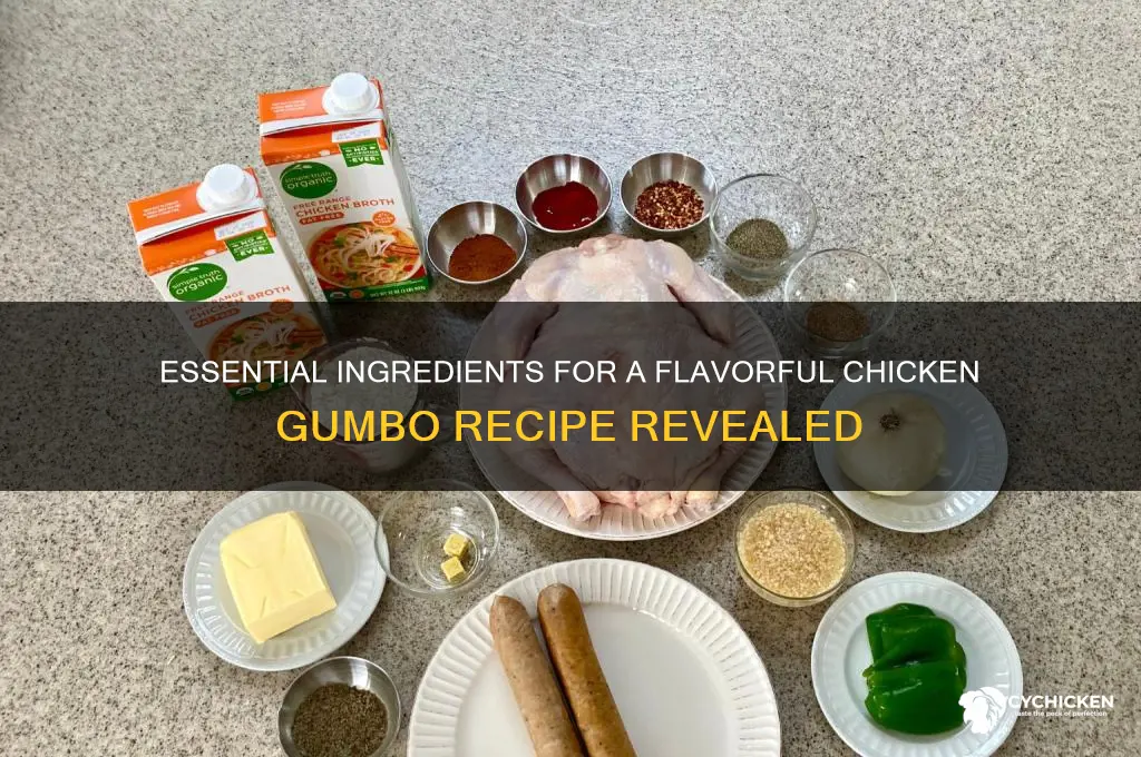 what do you put in chicken gumbo