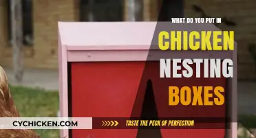 Essential Items for Chicken Nesting Boxes: Comfort and Egg Safety Tips