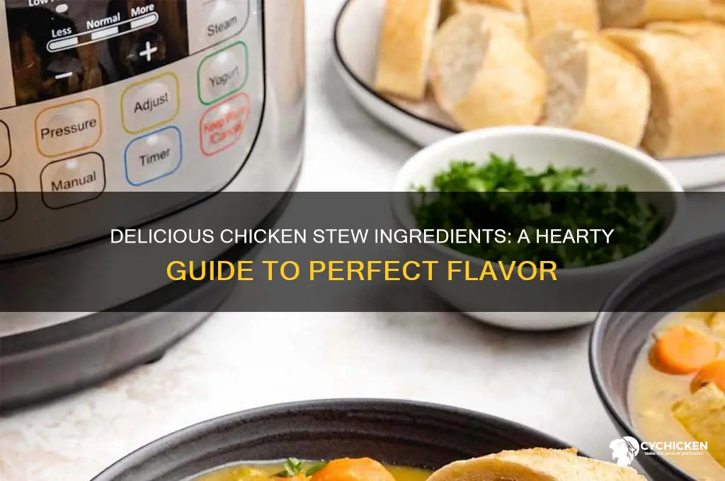 what do you put in chicken stew