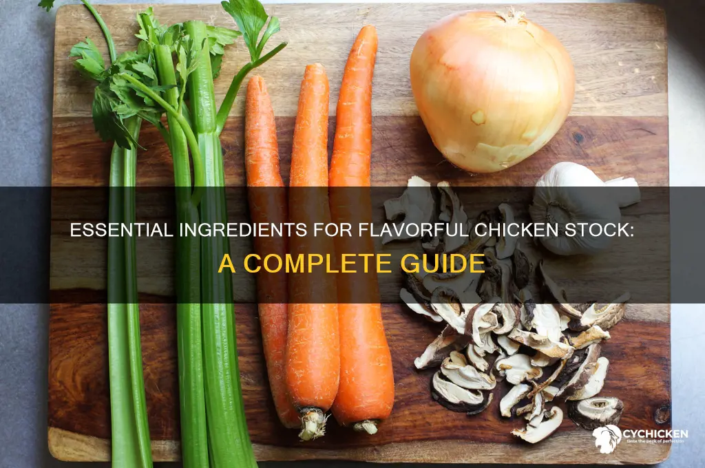 what do you put in chicken stock
