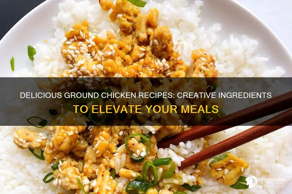 what do you put in ground chicken