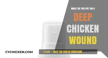 Heal Chicken Wounds: Natural and Quick Solutions