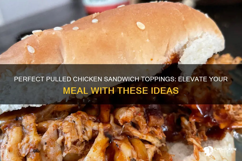 what do you put on a pulled chicken sandwich