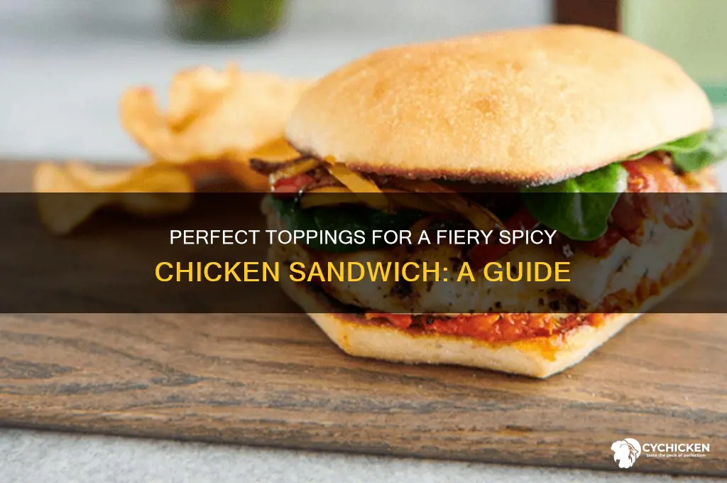 what do you put on a spicy chicken sandwich
