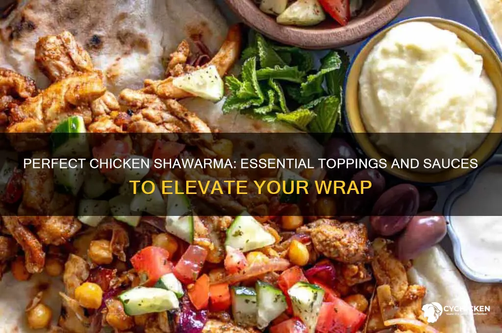 what do you put on chicken shawarma