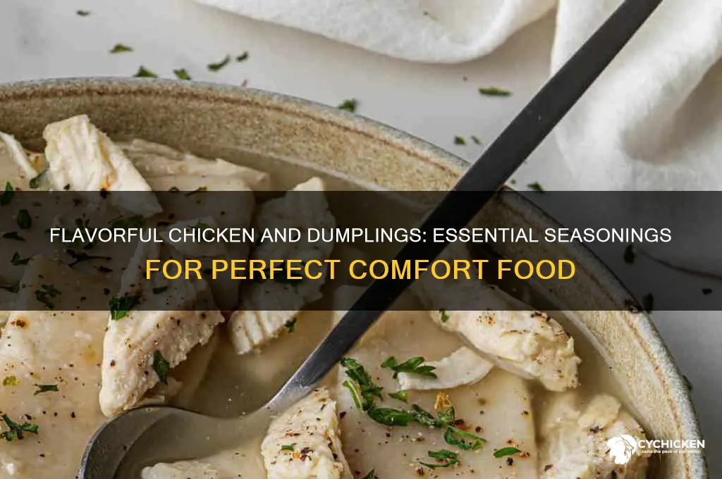 what do you season chicken and dumplings with