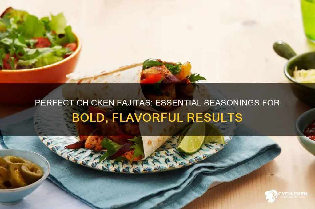 what do you season chicken fajitas with