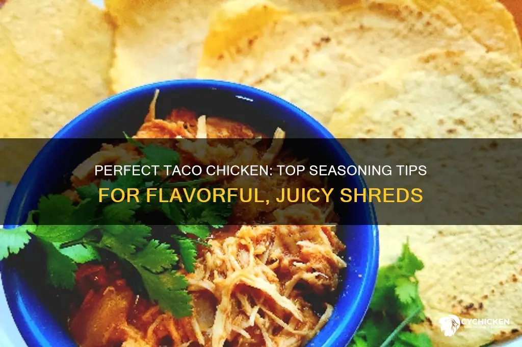 what do you season chicken with for tacos