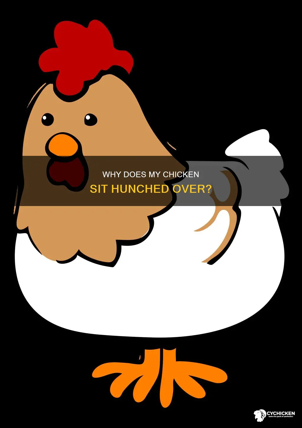 what doea it mean when a chicken justvsits hunched over