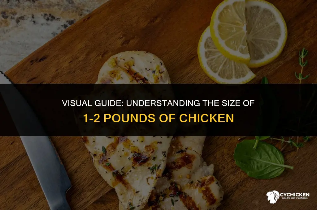 what does 1 2 pound of chicken look like