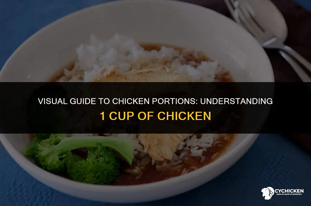 what does 1 cup of chicken look like