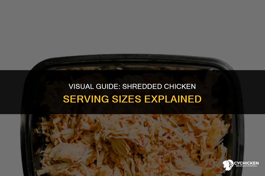 what does 1 ounce of shredded chicken look like