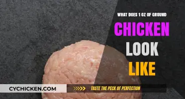 Visual Guide: What Does 1 Ounce of Ground Chicken Look Like?