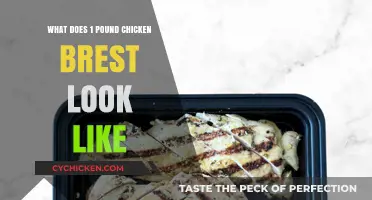 Visual Guide: What Does 1 Pound of Chicken Breast Look Like?