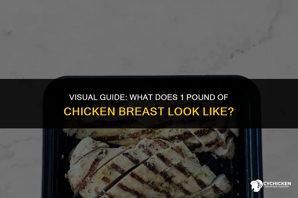 what does 1 pound chicken brest look like