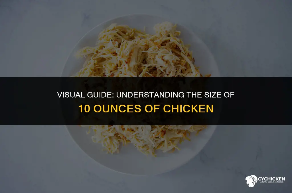 what does 10 ounces of chicken look like