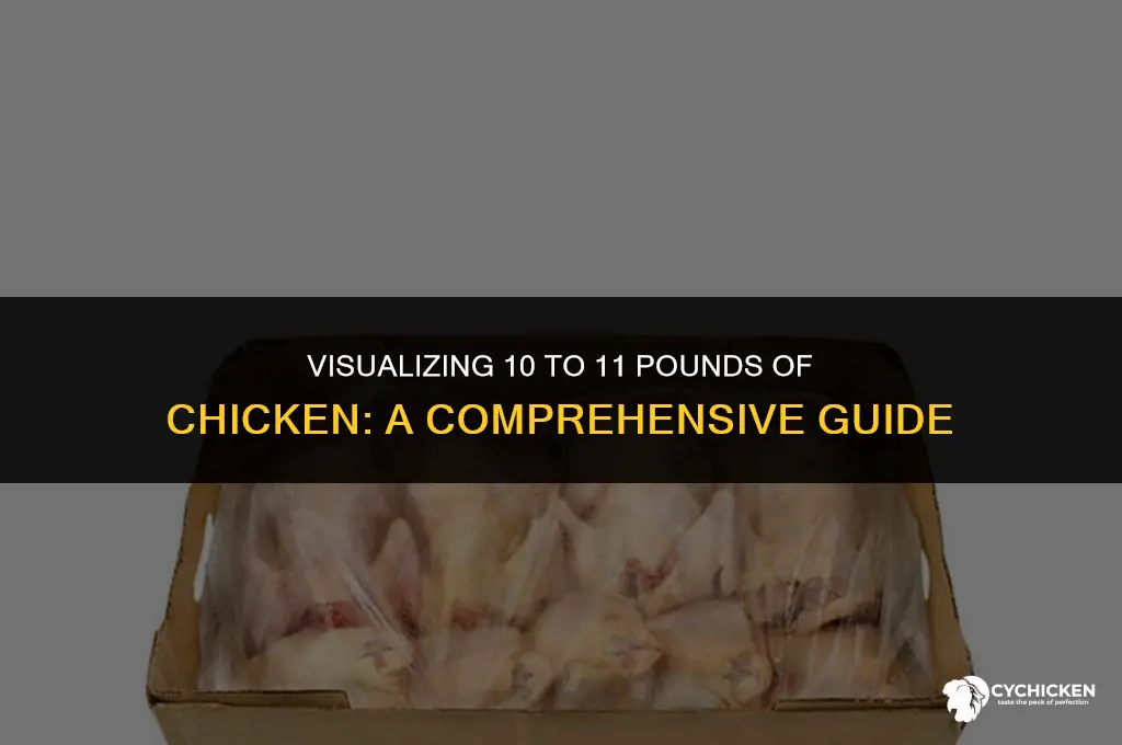 what does 10 to 11 lbs of chicken look like