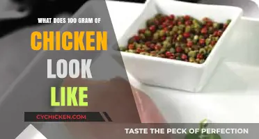Visual Guide: What Does 100 Grams of Chicken Look Like?