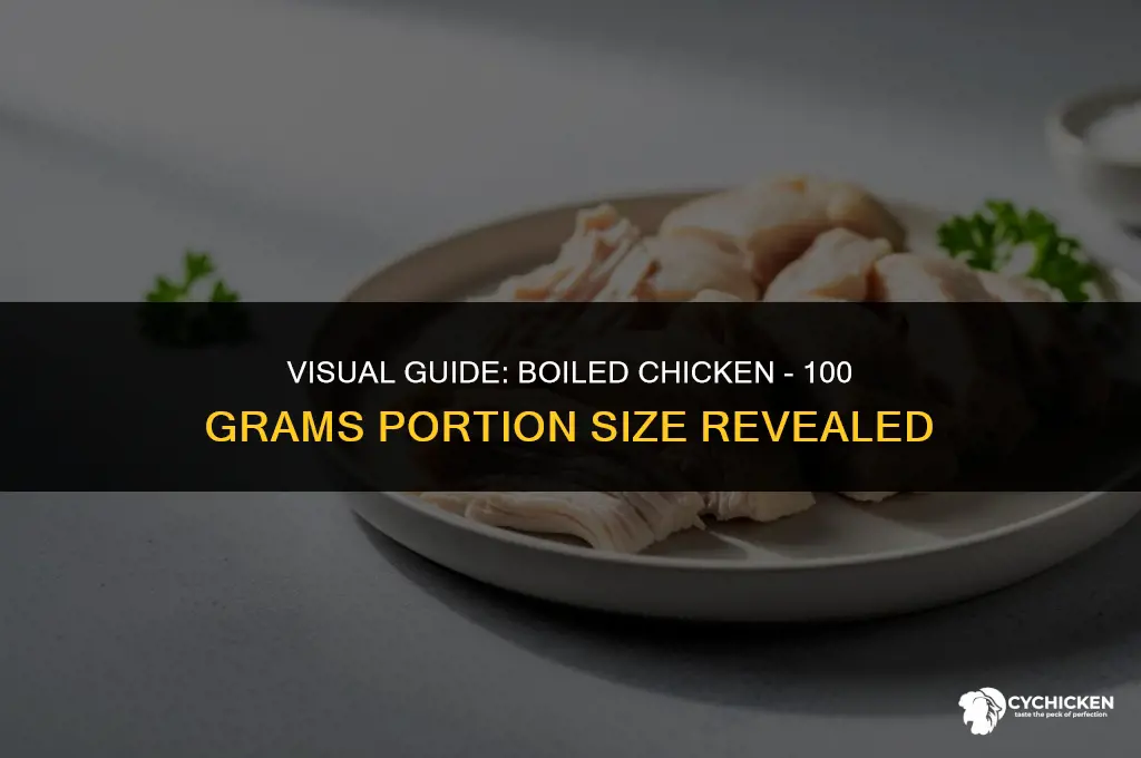 what does 100 grams of boiled chicken look like