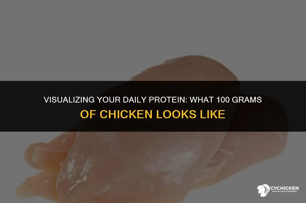 what does 100 grams of chicken protein look like