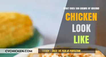 Visual Guide: Ground Chicken Portions for Healthy Meals