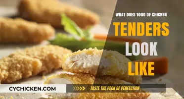 Visual Guide: What Does 100g of Chicken Tenders Look Like?